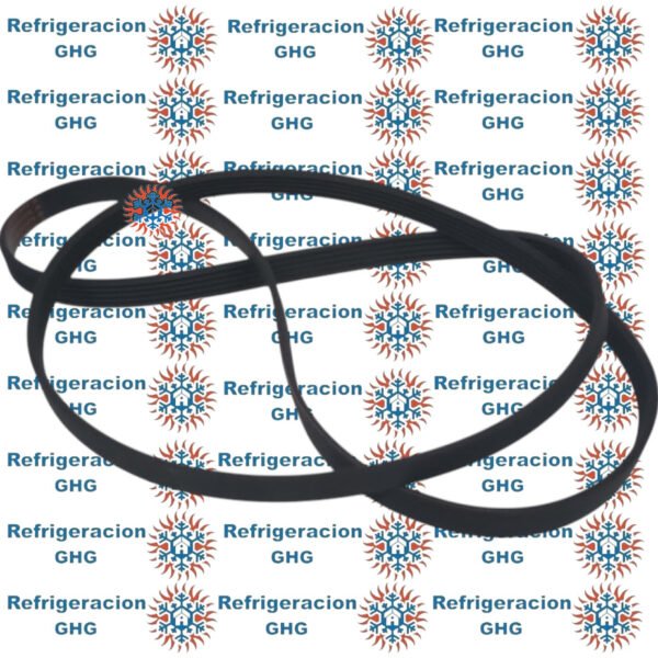 Correa 1253  Ghg - Image 2