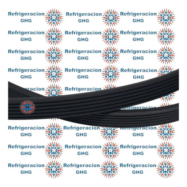 Correa 1228 H  Ghg - Image 4