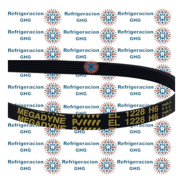 Correa 1228 H  Ghg - Image 3