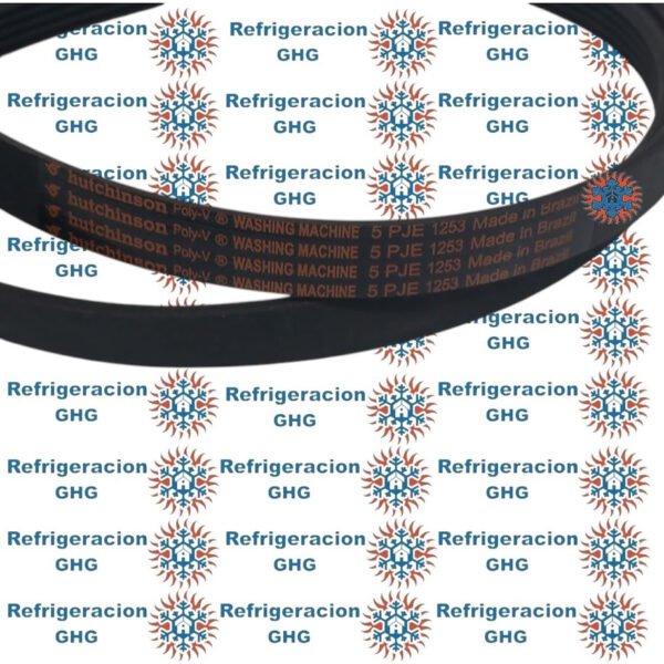 Correa 1253  Ghg - Image 3