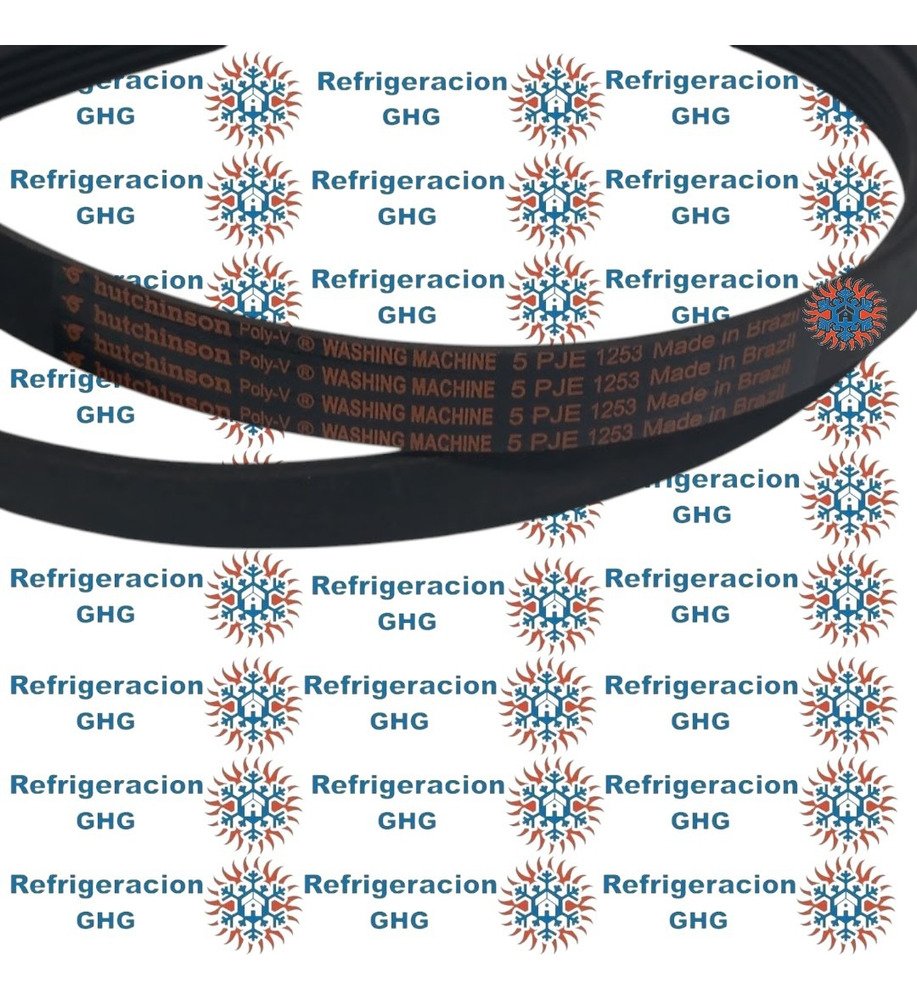 Correa 1253  Ghg - Image 3