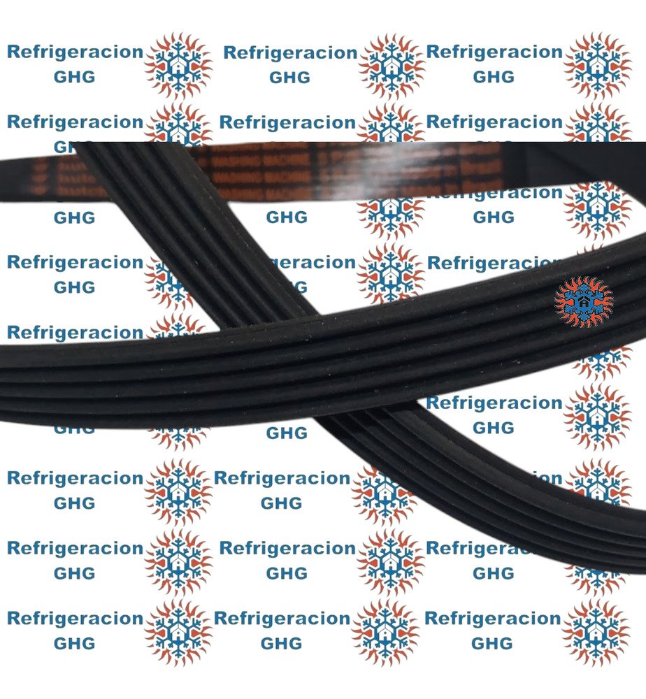 Correa 1253  Ghg - Image 4