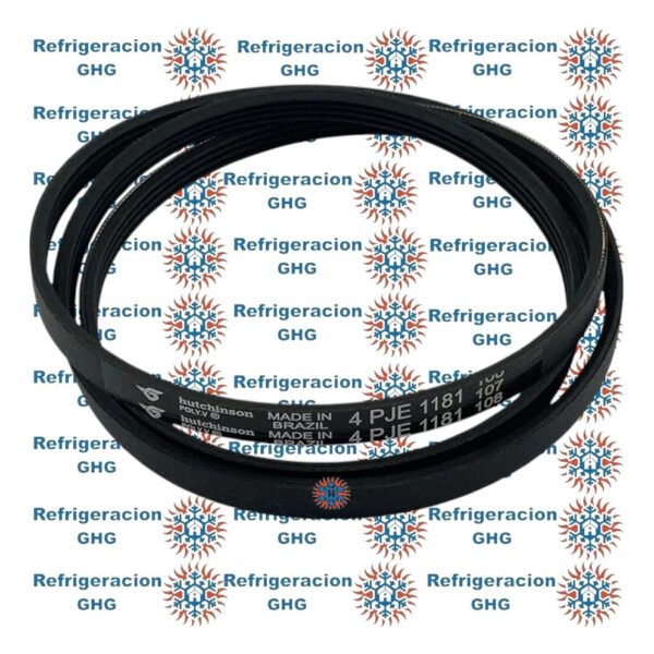 Correa 1181 H  Ghg - Image 3