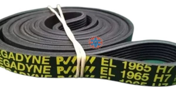 Correa 1965 H7  Ghg - Image 1