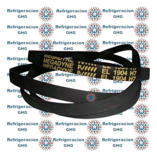 Correa 1904 H7  Ghg - Image 2