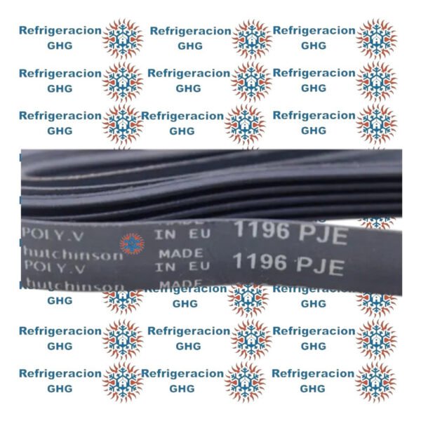 Correa 1196  Ghg - Image 3