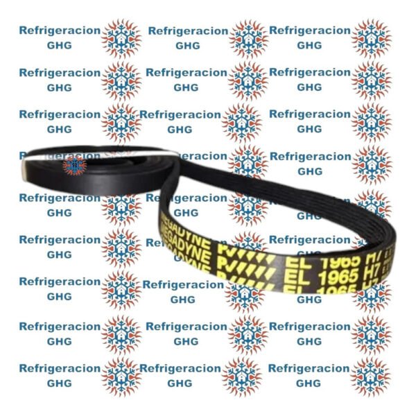 Correa 1965 H7  Ghg - Image 3