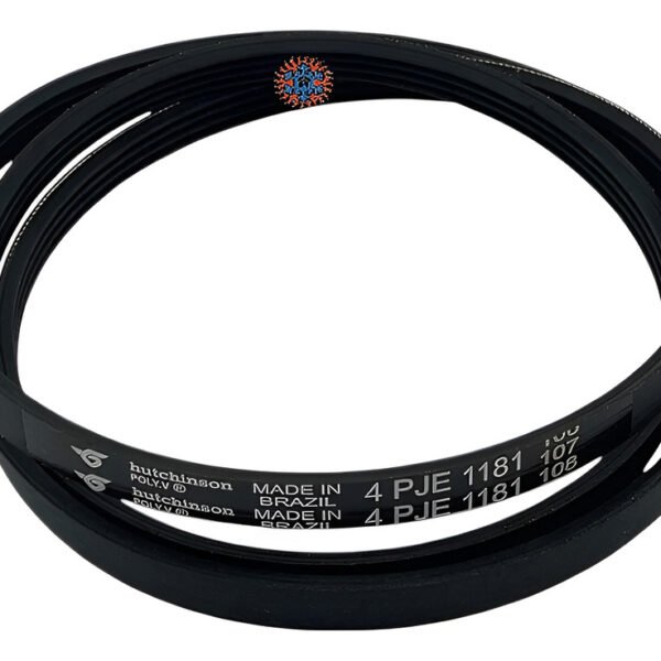 Correa 1181 H  Ghg - Image 1