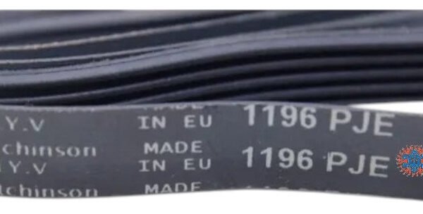 Correa 1196  Ghg - Image 1