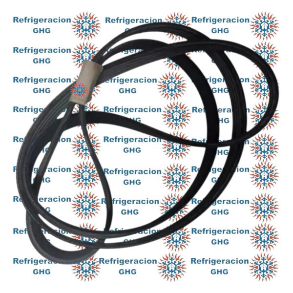 Correa 1975 H Ghg - Image 2