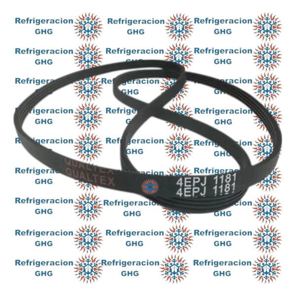 Correa 1181 H  Ghg - Image 2