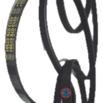 Correa 1313 J Ghg - Image 2
