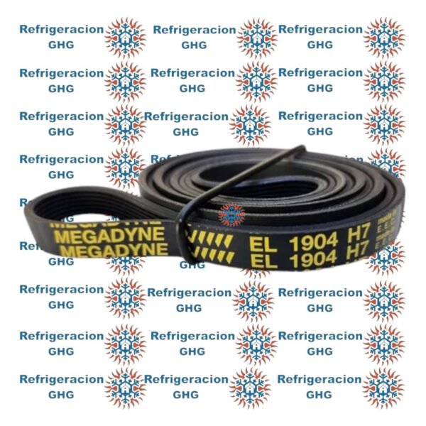 Correa 1904 H7  Ghg - Image 3