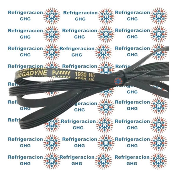 Correa 1930 H5 Ghg - Image 3