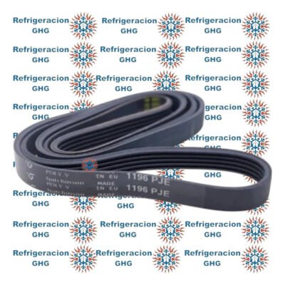 Correa 1196  Ghg - Image 2