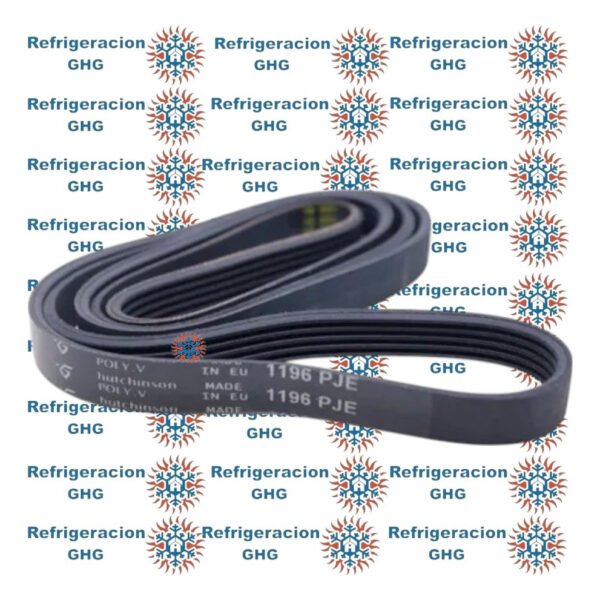 Correa 1196  Ghg - Image 2