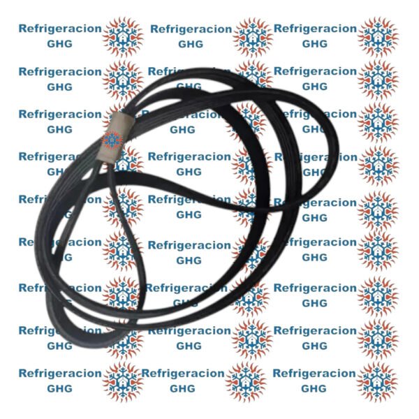 Correa 1181 J4   Ghg - Image 2