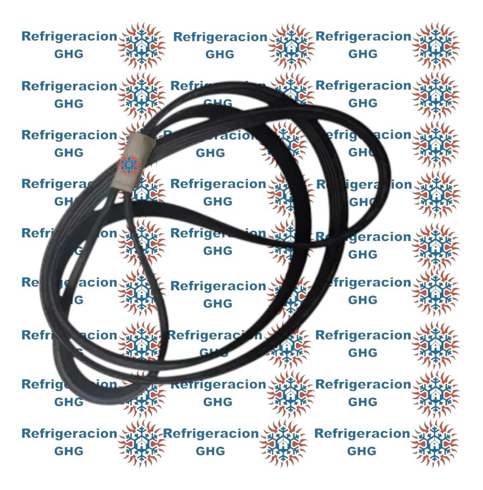 Correa 1181 J4   Ghg - Image 2